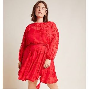Anthropologie Plus Size Dress